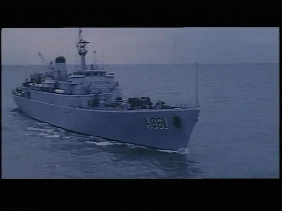 Zinnia destination Caraïbes