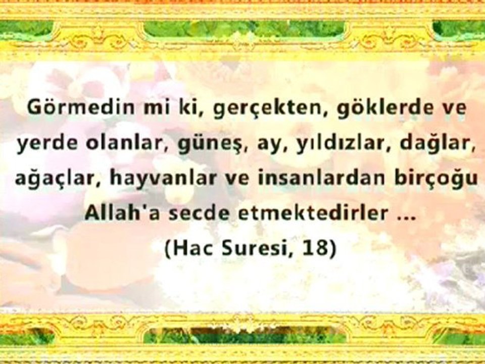 ALLAH'IN GÜZELLİKLERİNDEN BİR DEMET 2