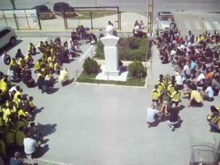 Сирени в 12:00 часа 🌸