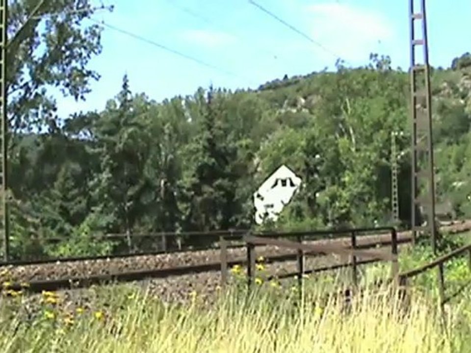 Züge Loreley,Crossrail 185,ERS 189,Alpha Trains 185,143,460, 427, 428, DBAG 185, 145, Railion 185