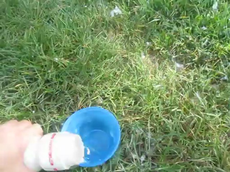 rehydratation du fauve