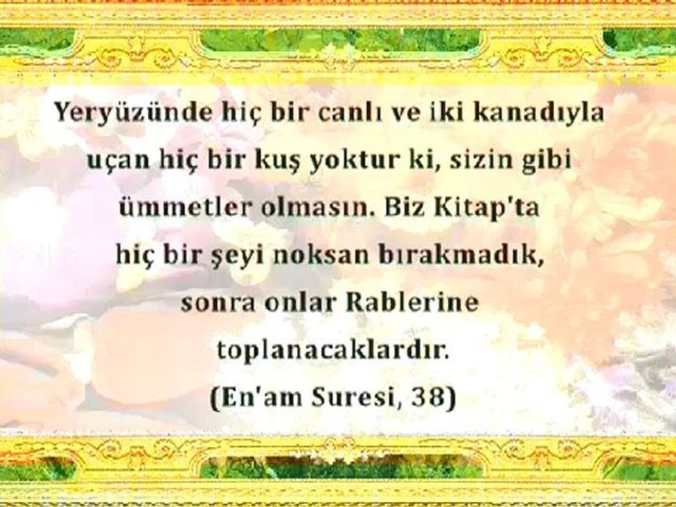 ALLAH'IN GÜZELLİKLERİNDEN BİR DEMET - 1