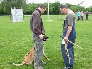 Gibb's 10 mois defense du maitre