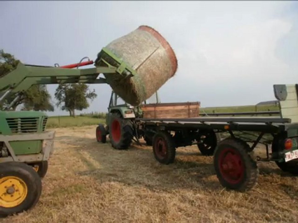 foin 2012