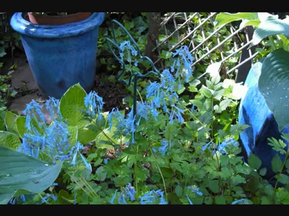 Rendez-vous aux jardins