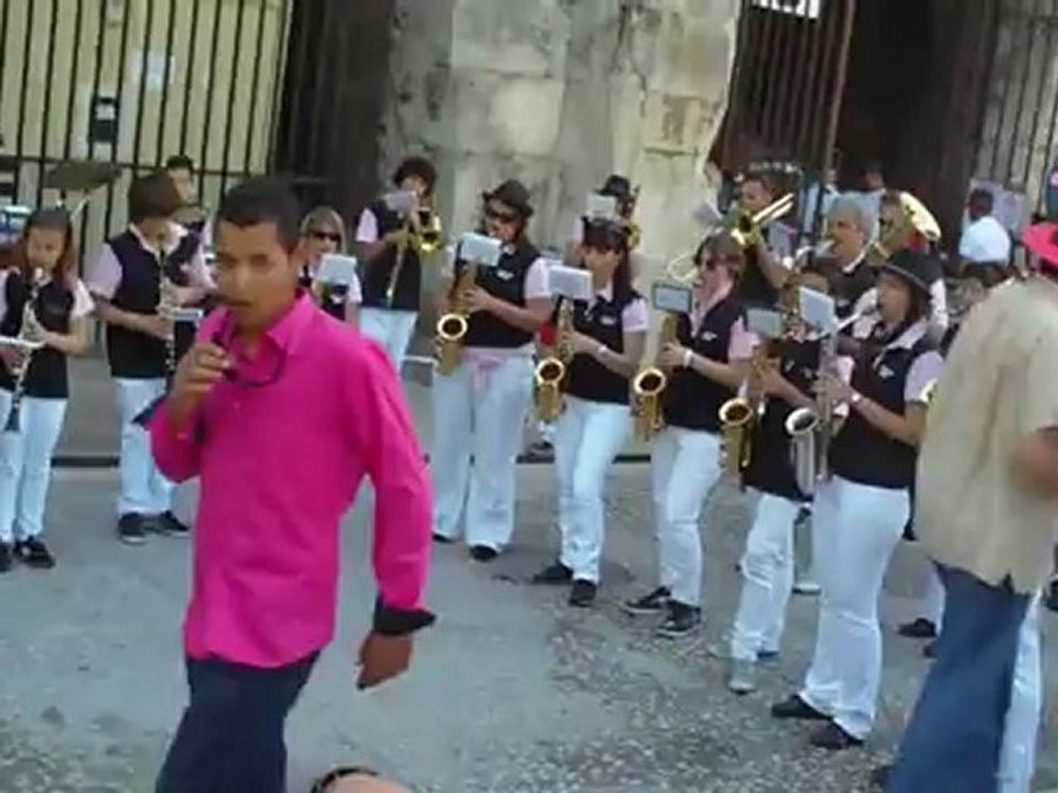 Toros en Arles