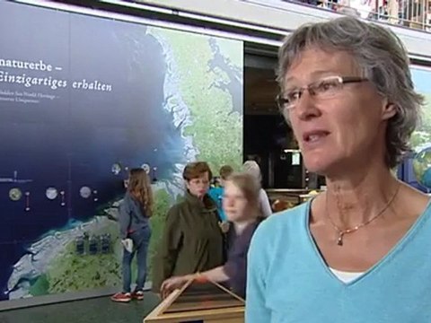 Wadden Sea - Relaxing in tune with nature | Discover Germany