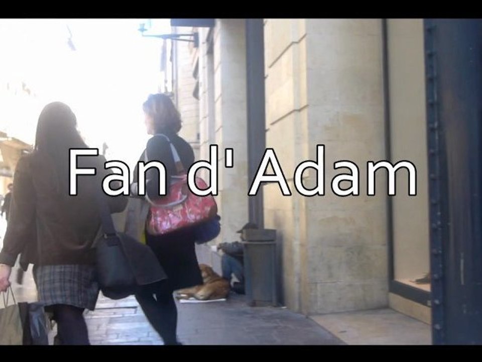 Fan d'Adam