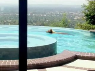 Bear in Californian pool.