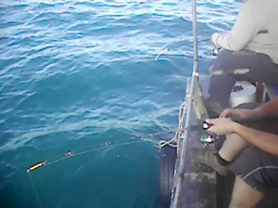 ismail kaptan kazıklı balık avı 6