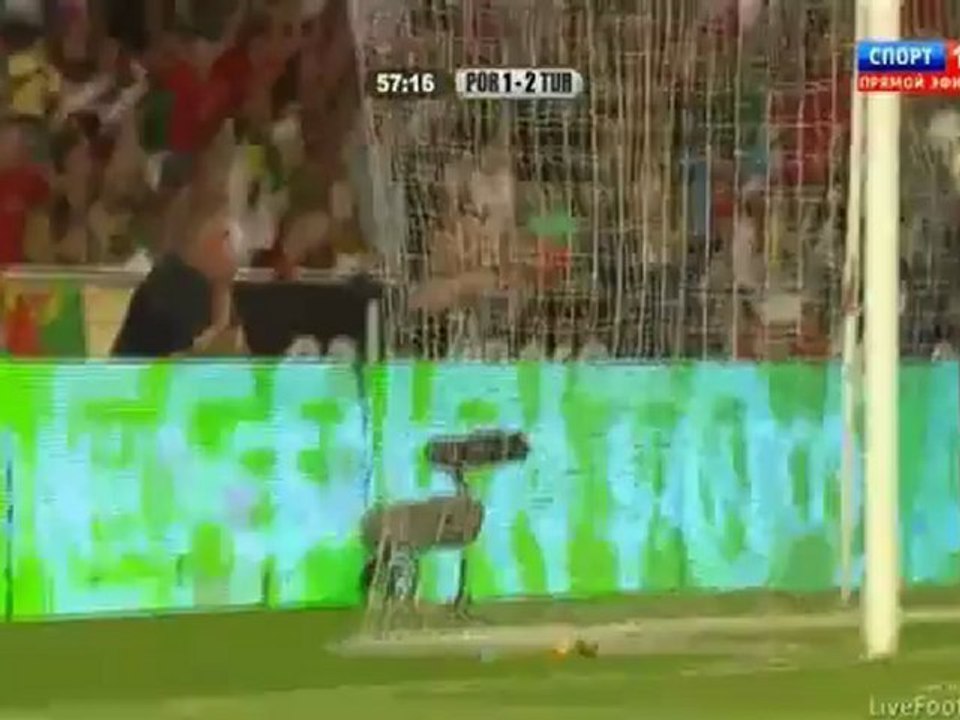 Portugal vs Turkey 1:2 Nani