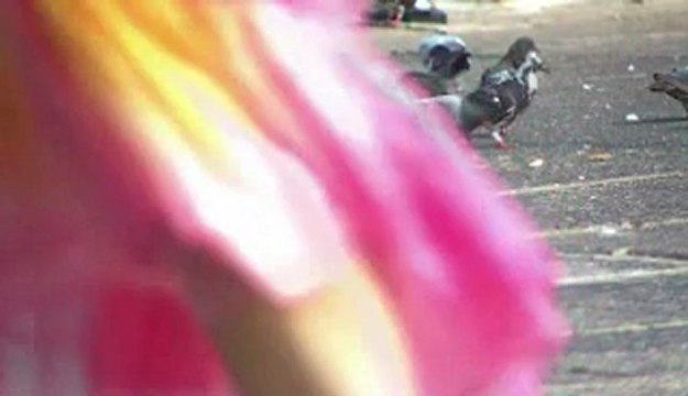 UNIVERSE BY ALISA GLADYSEVA ALIAS GUITAR