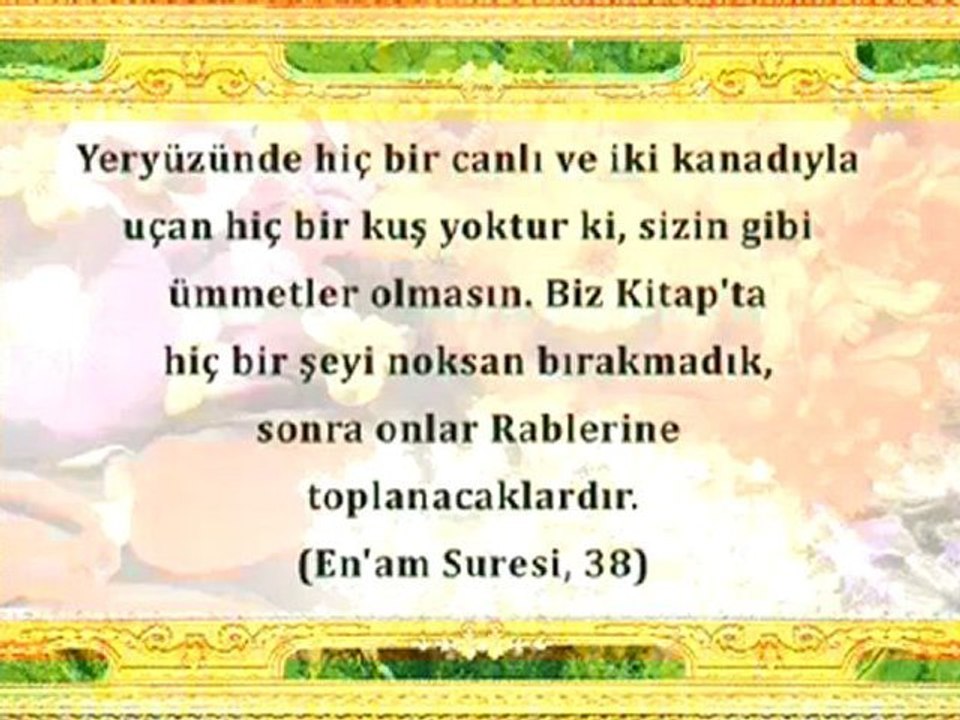 ALLAH'IN GÜZELLİKLERİNDEN BİR DEMET – 1
