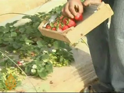 Concerns over Gaza blockade ease