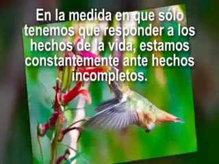 Mensajes desde la logoterapia-2