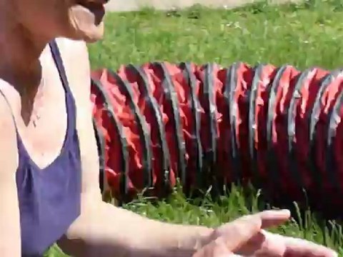 Agility Fedj , ses débuts