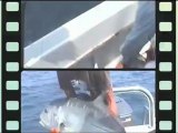 SAINT-CYPRIEN-FISHING, pêche sportive en haute mer languedoc roussillon
