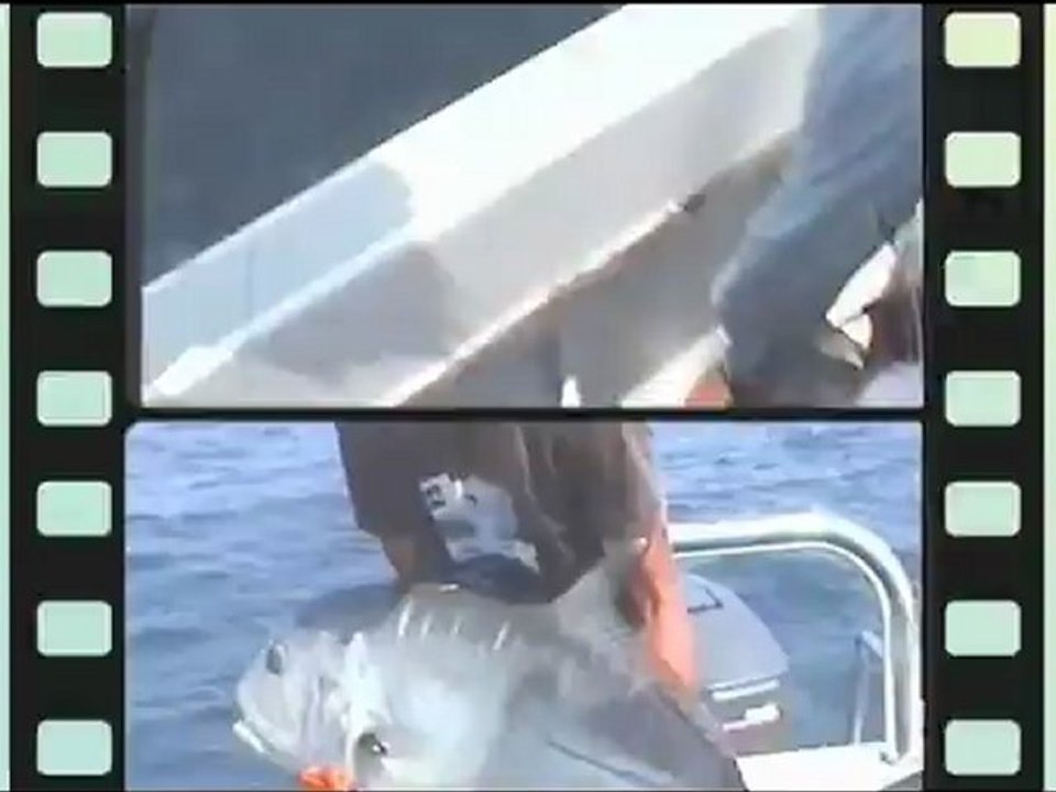 SAINT-CYPRIEN-FISHING, pêche sportive en haute mer languedoc roussillon