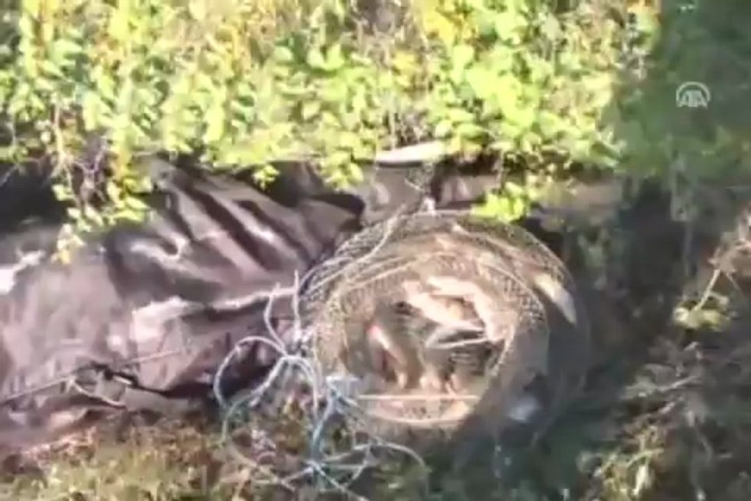 Önce can, sonra balık