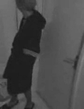 video il a chié sur mon paillasson - crotte,hlm,voisin,chier,camera2