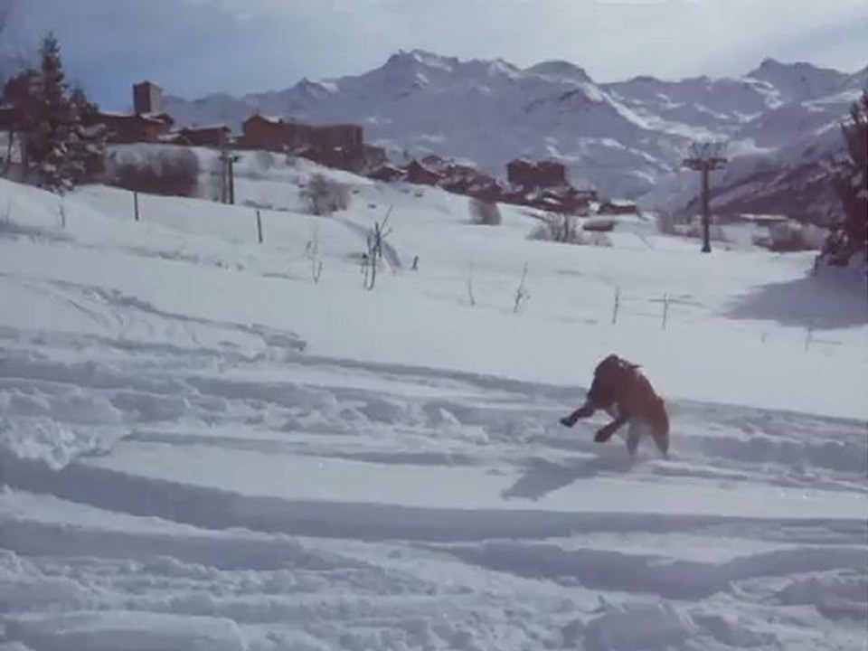 Desgayl court dans la neige