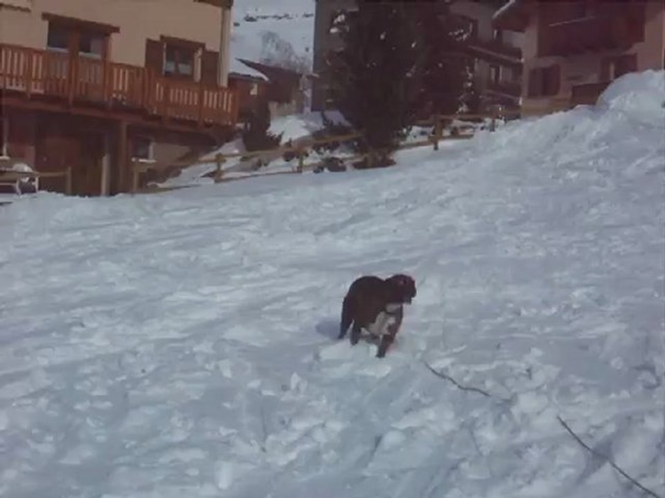 Desgayl joue dans la neige