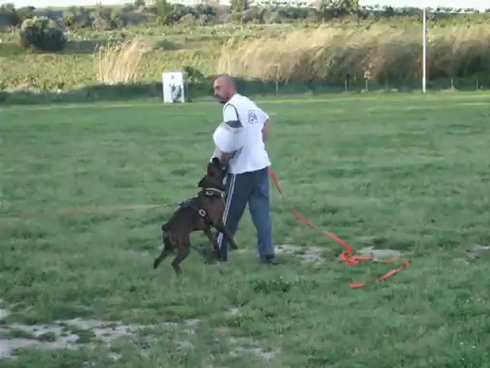 Entrainement à l'élastique Attaque lancée