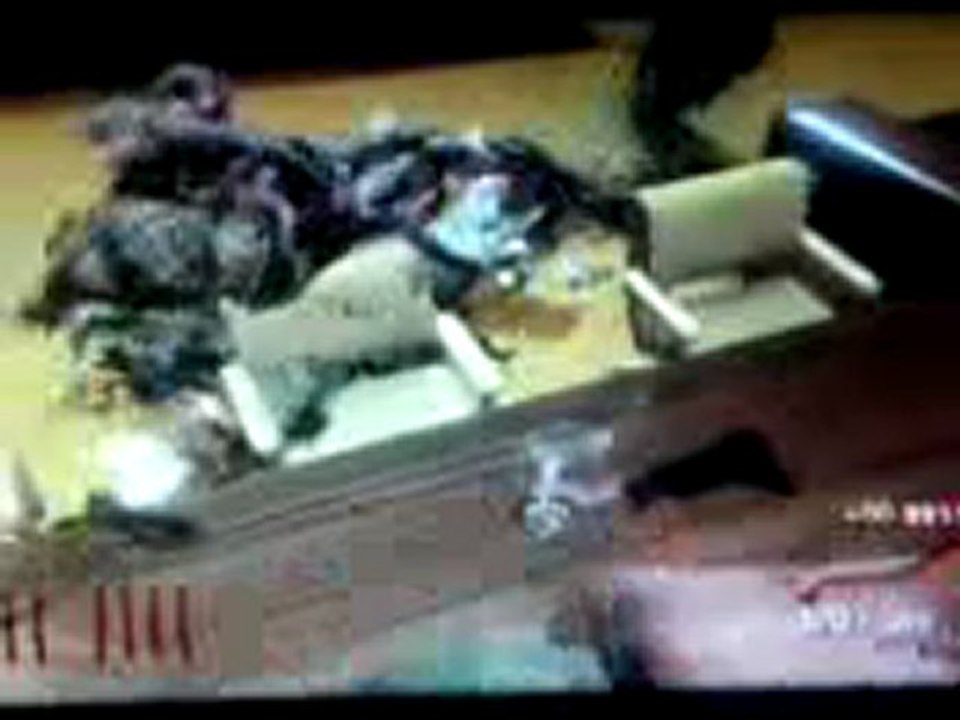 parti 2 zombie