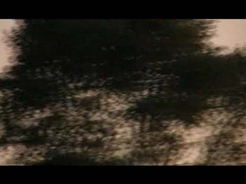 F-16 Démo Team belgian Air Force