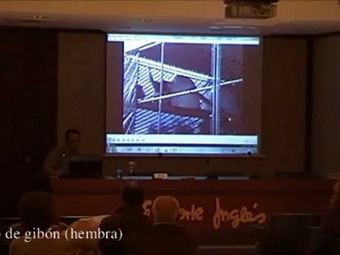 Arte y Lenguaje Animal 04 - Gibones - Prof Manuel Lafarga