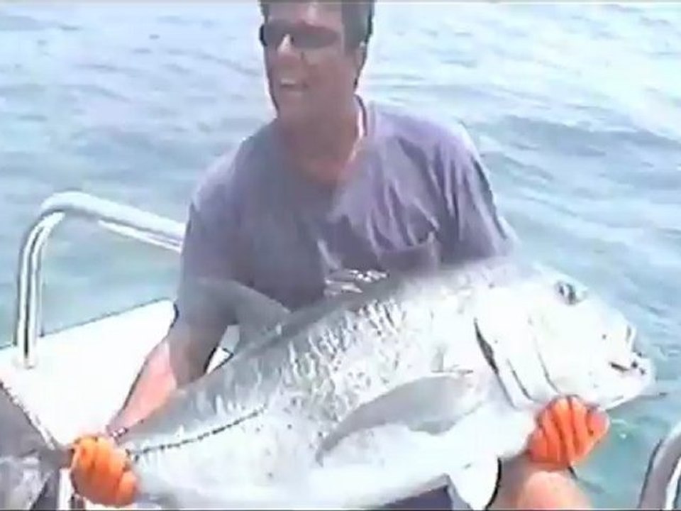 SAINT-CYPRIEN-FISHING, pêche sportive en haute mer Languedoc Roussillon