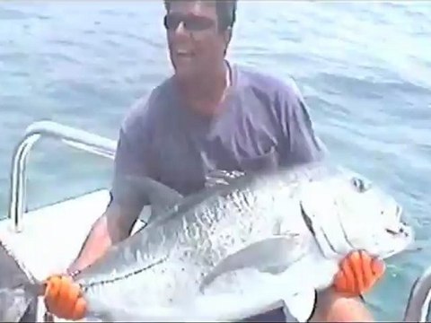 SAINT-CYPRIEN-FISHING, pêche sportive en haute mer Languedoc Roussillon