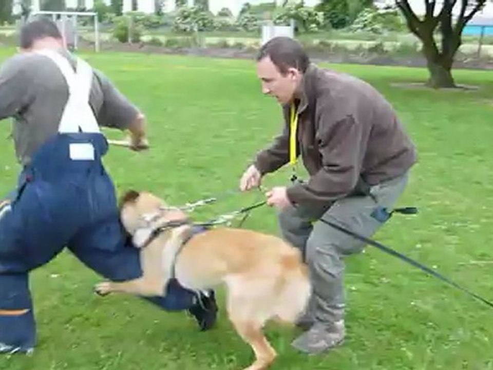 gibb's 10 mois recherche + conduite