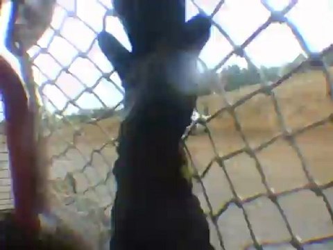 Elne 2012 Finale sprintcar D2 Loïc