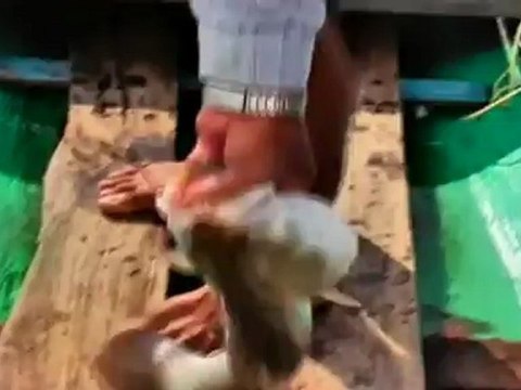 หลงกรุง วันที่ 3 มิถุนายน 2555