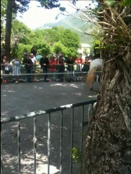 spectacle chevaux de prestiges, écuries de bacchus villlars-colmars 2012