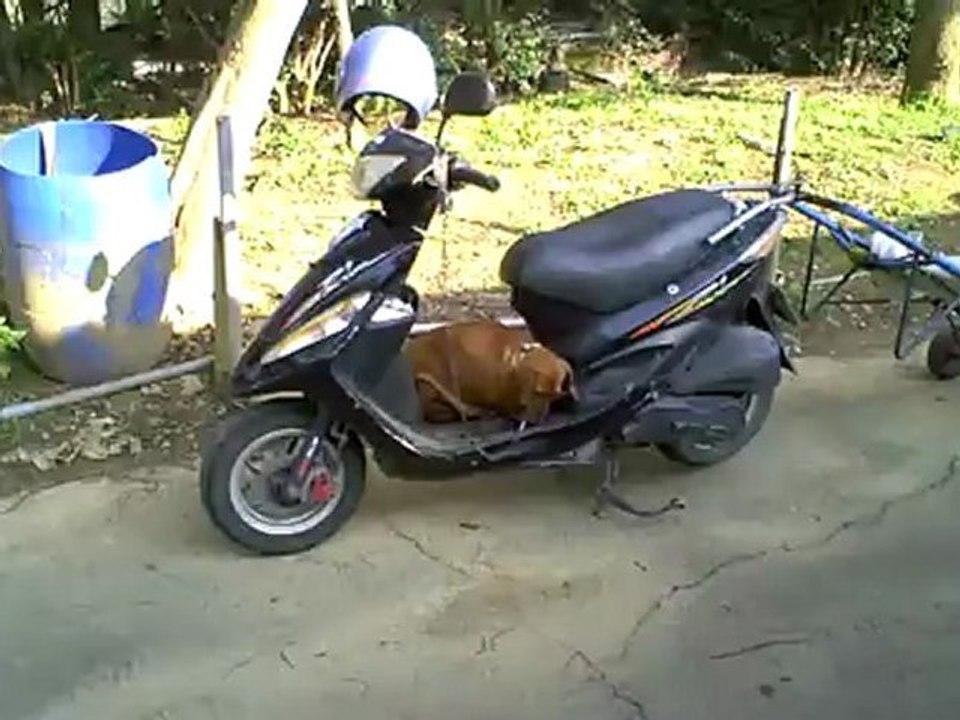 First Time on a Race Track Crash