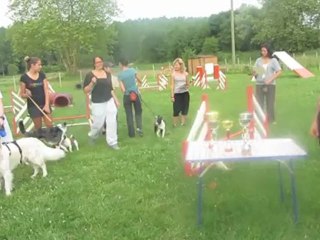 Certificat 2012 : funky et audrey