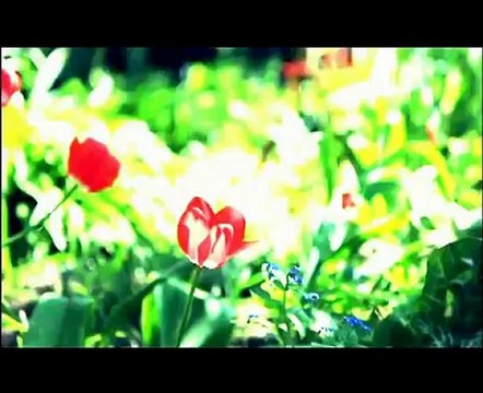 فلسطين هذا الصباح السبت 2-6-2012 _chunk_1(Converted)