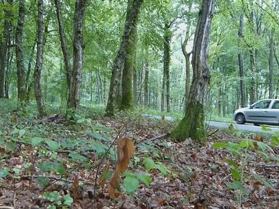 Clio RS1 - June 2012(1)