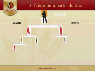 Plan compensation Organo Gold en français 03 06 2012