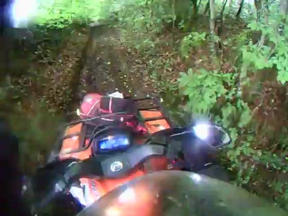 joli passage en sous-bois