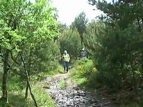 120602 La Chevrette et le Faon de Douch