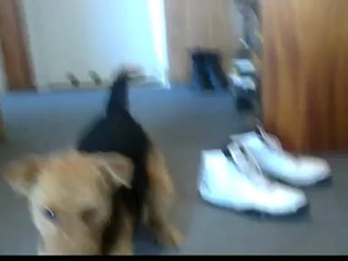 Reklama sportu ;)-20120603-10071159357461