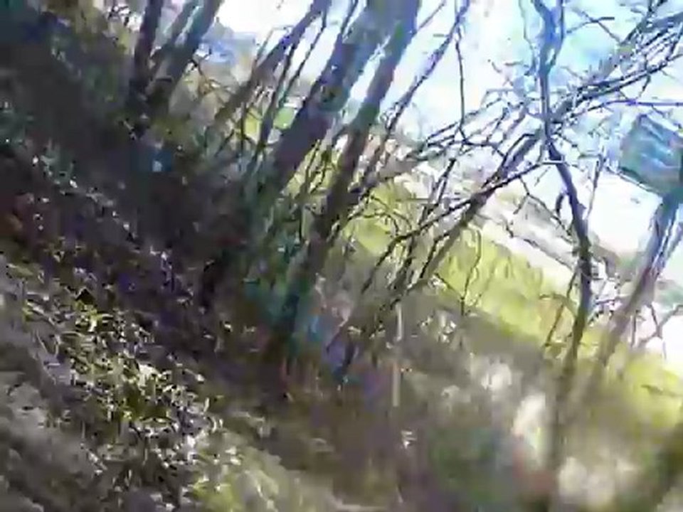 Billy Dreamer - "Vast Difference" Music Video