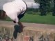 Video of the Day: Extreme Czech Parkour and Freerunning