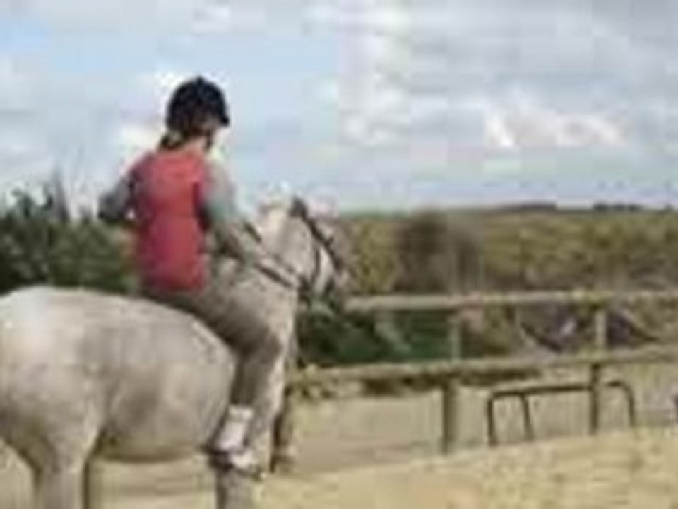 Hamalh & Sylvia, Ecuries du bout du monde