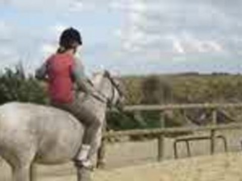 Hamalh & Sylvia, Ecuries du bout du monde