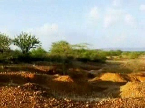 Poema Fé - Pedro Henrique Abreu