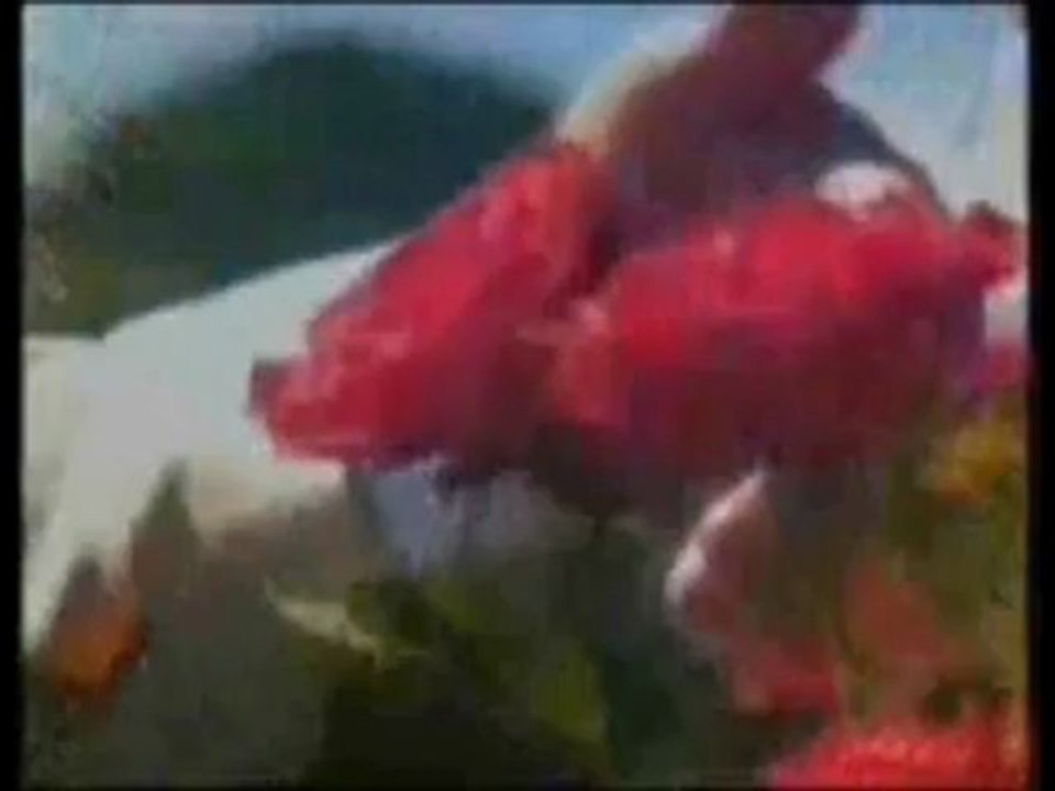 Poema Viajante - Pedro Henrique Abreu